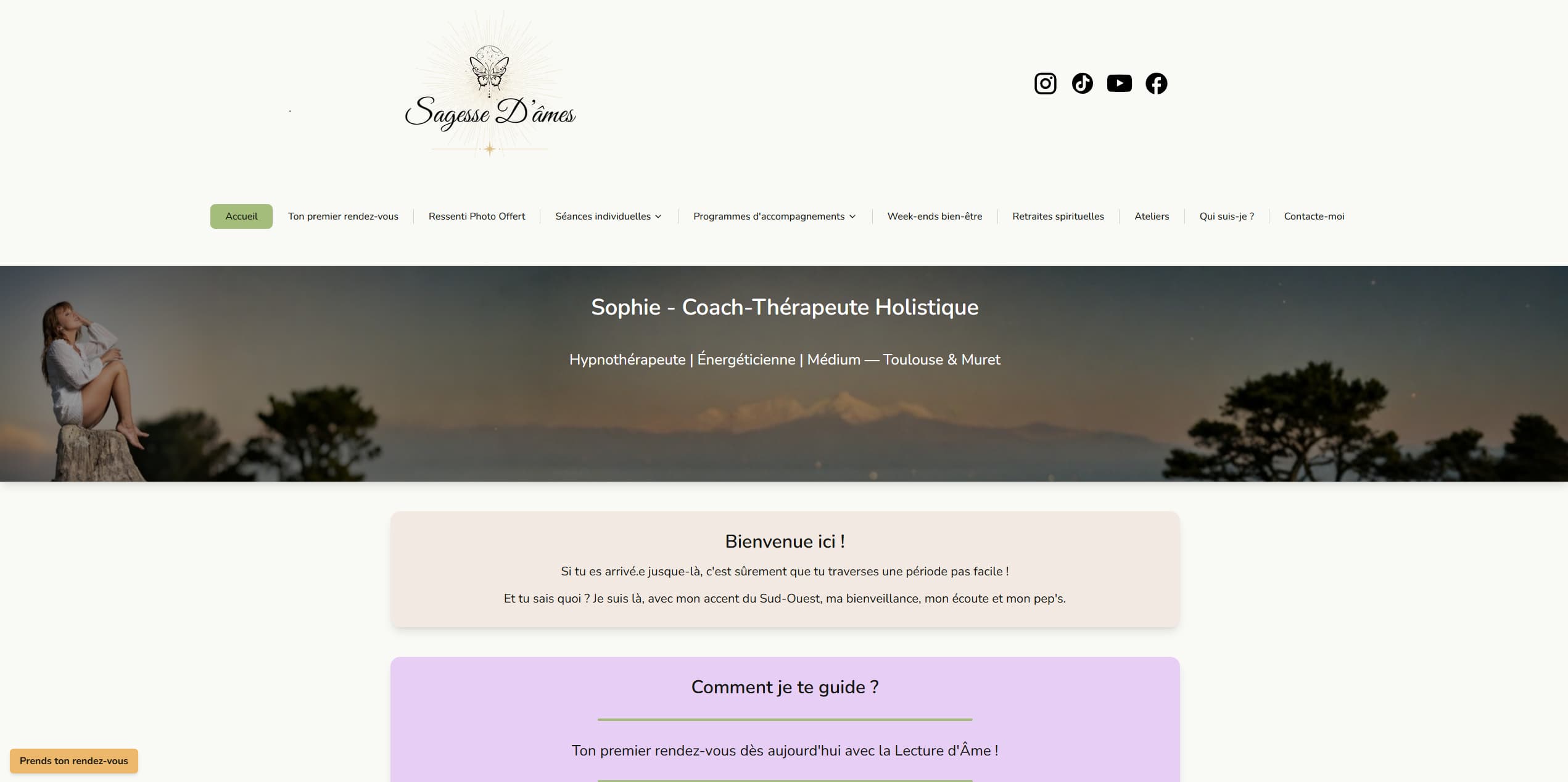 Aperçu du projet Sagesse Holistique